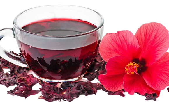 The Surprising Health Benefits of Hibiscus
