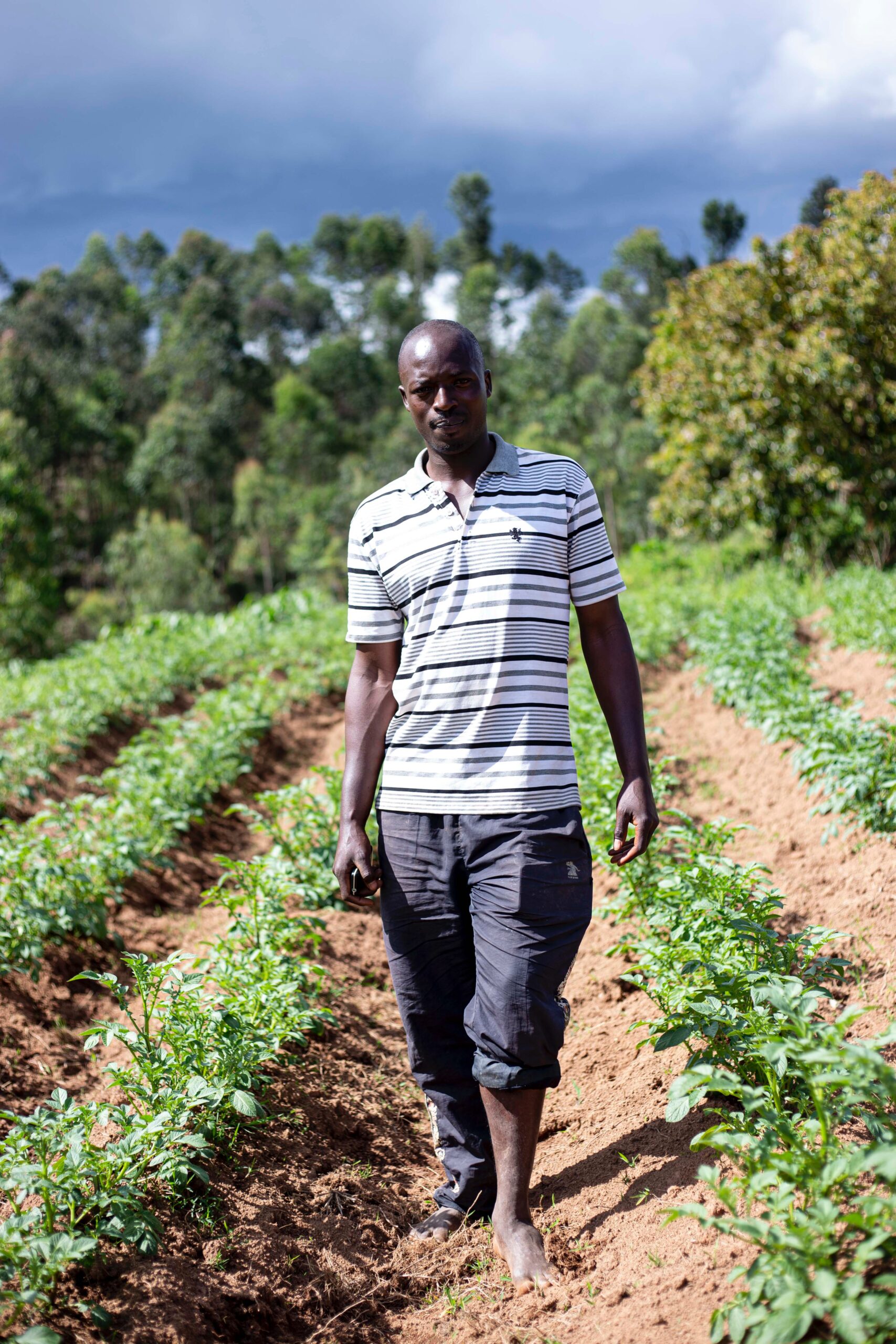 David Kwapala